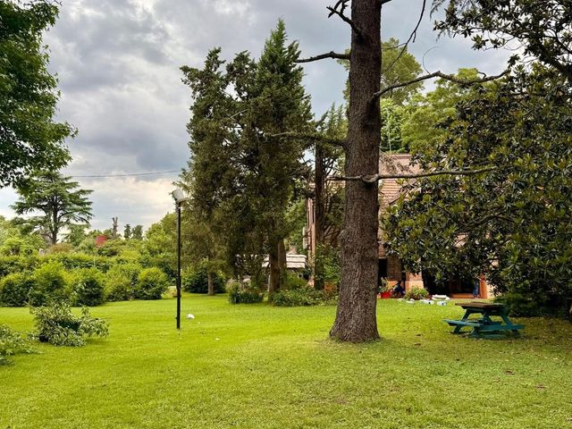 place photo 59