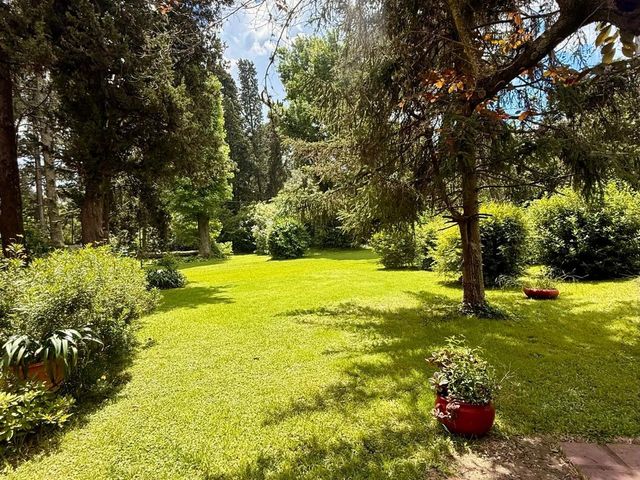 place photo 70