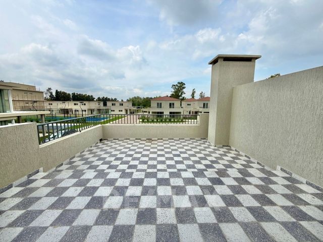 place photo 48