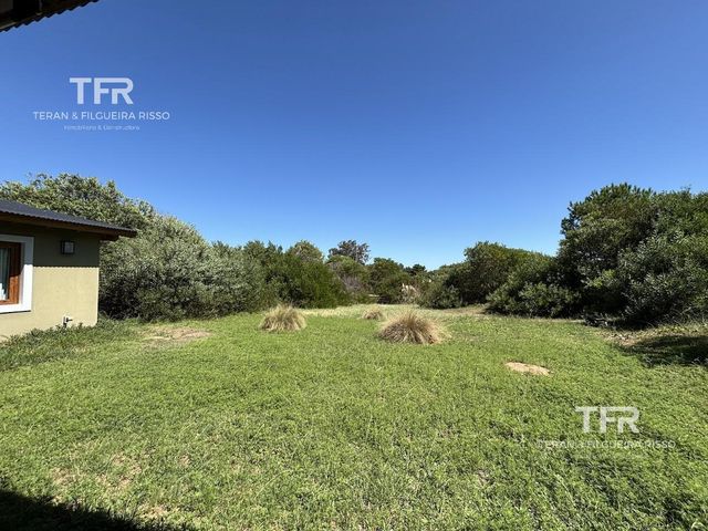 place photo 46