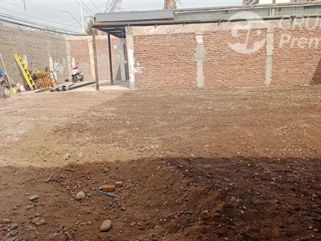 place photo 24