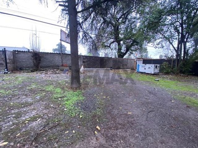 place photo 20