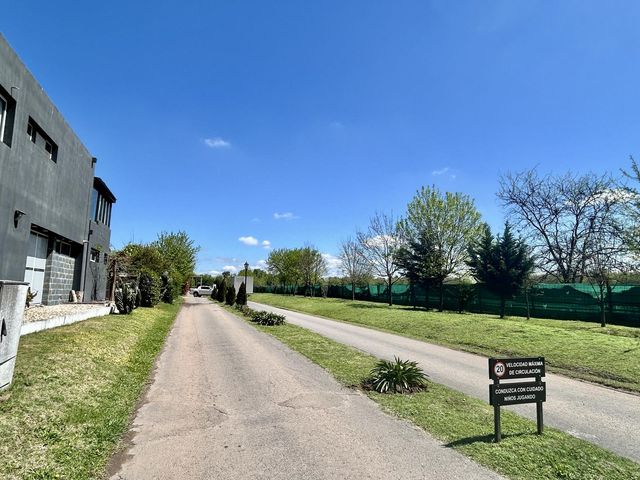 place photo 40