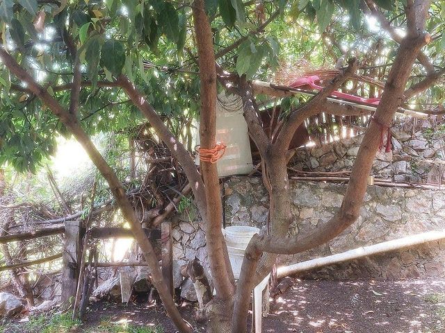 place photo 47