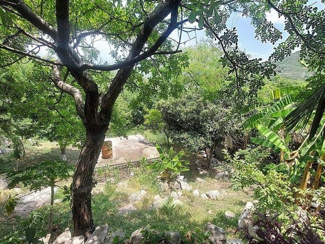 place photo 38