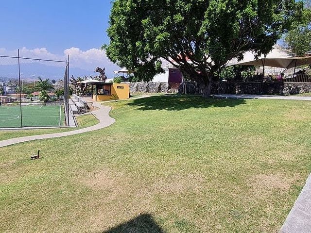 place photo 37