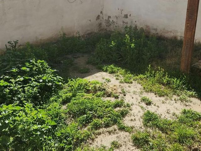 place photo 30