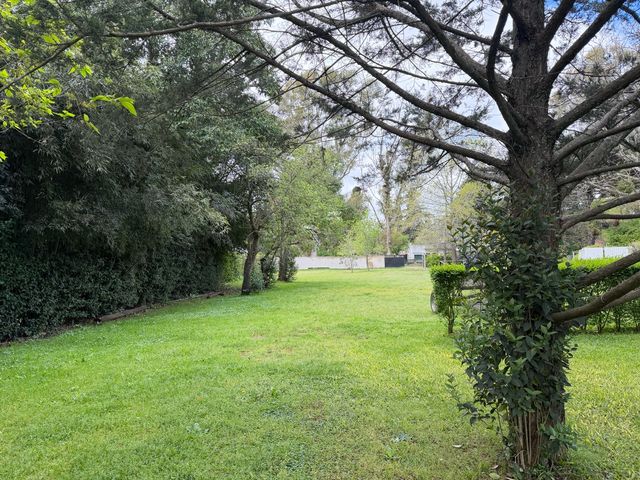 place photo 36