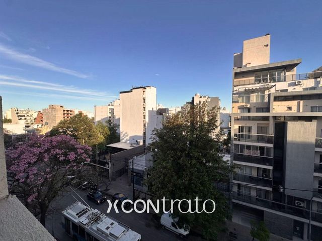 place photo 37