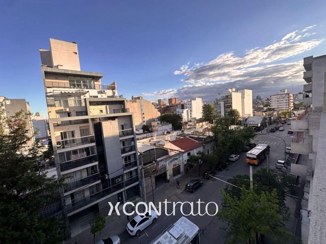 place photo 38