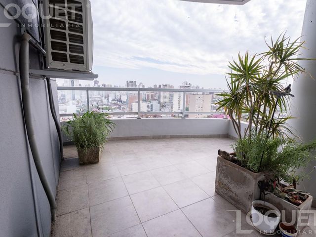 place photo 40