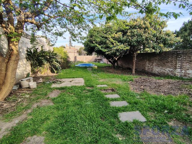 place photo 37