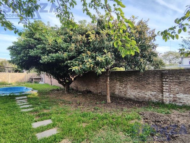 place photo 39