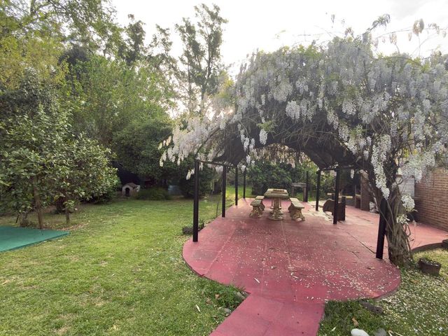 place photo 38
