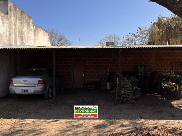place photo 26