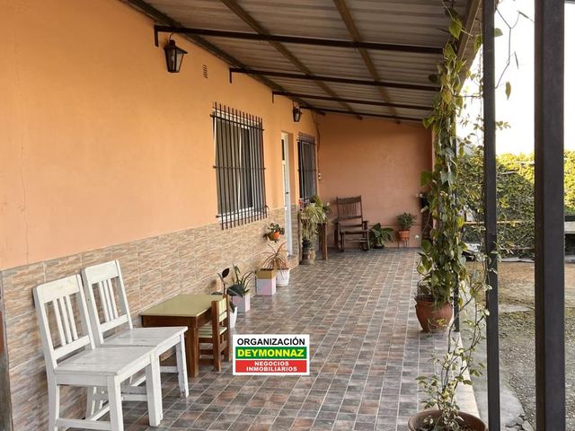 place photo 17