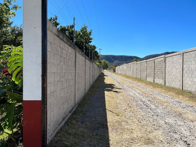 place photo 39