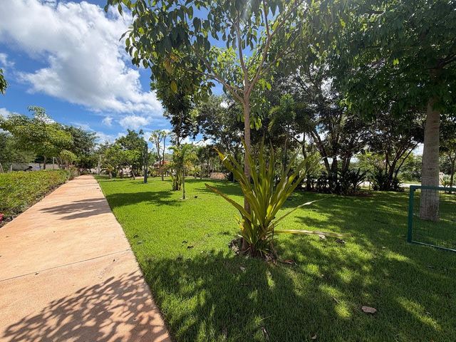 place photo 42