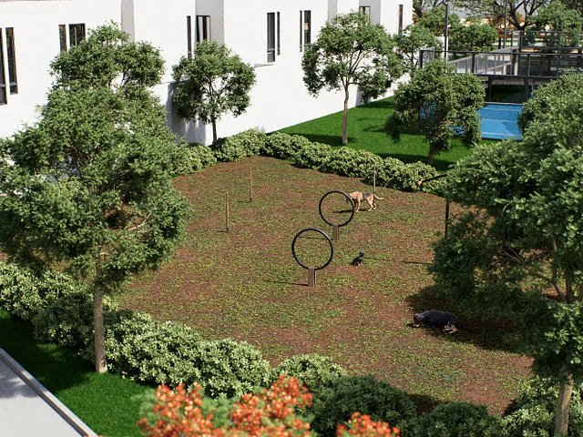 place photo 14
