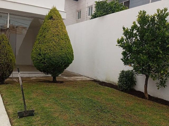 place photo 44
