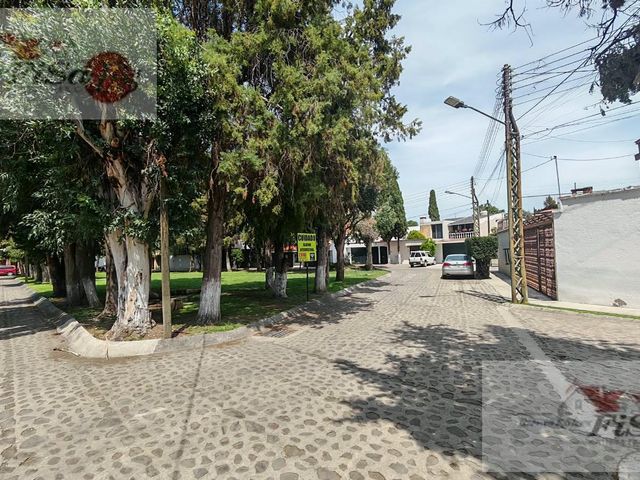 place photo 46