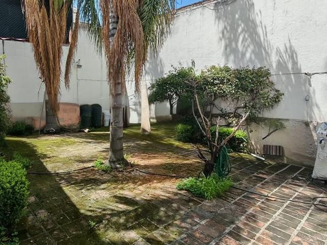 place photo 45