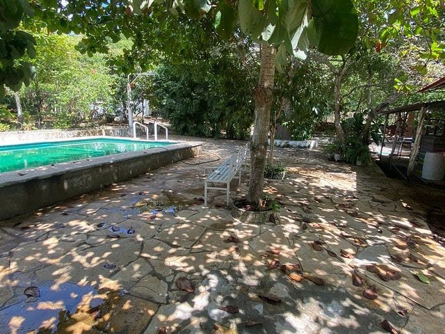 place photo 25