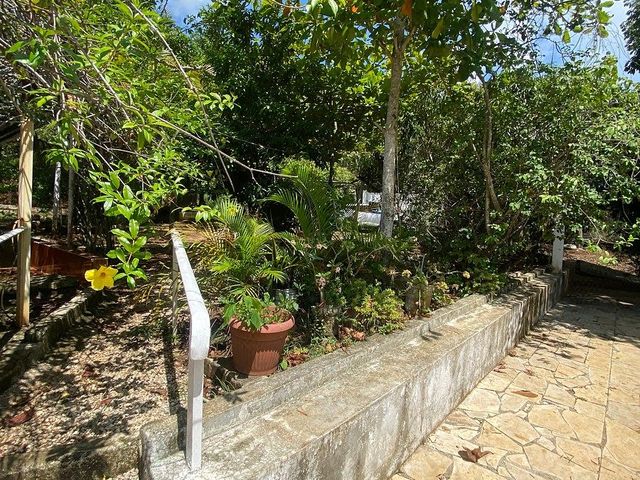 place photo 35