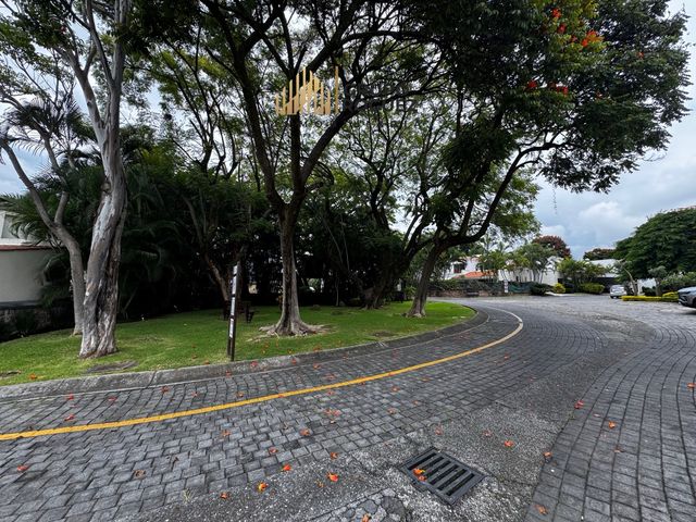 place photo 41