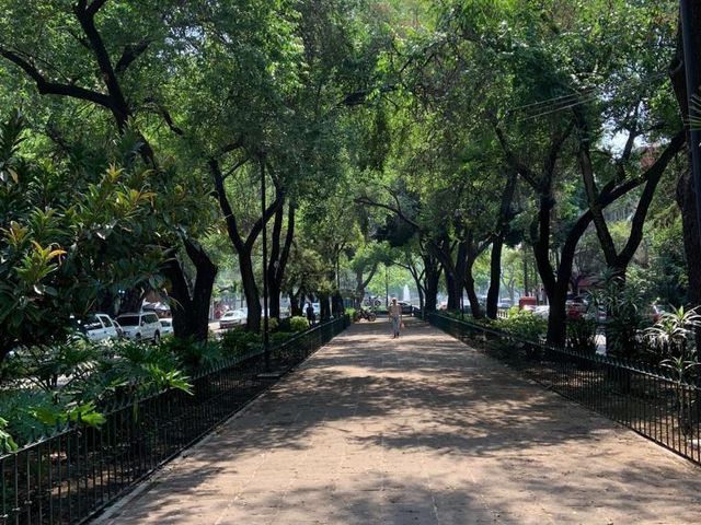 place photo 19