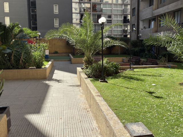 place photo 24