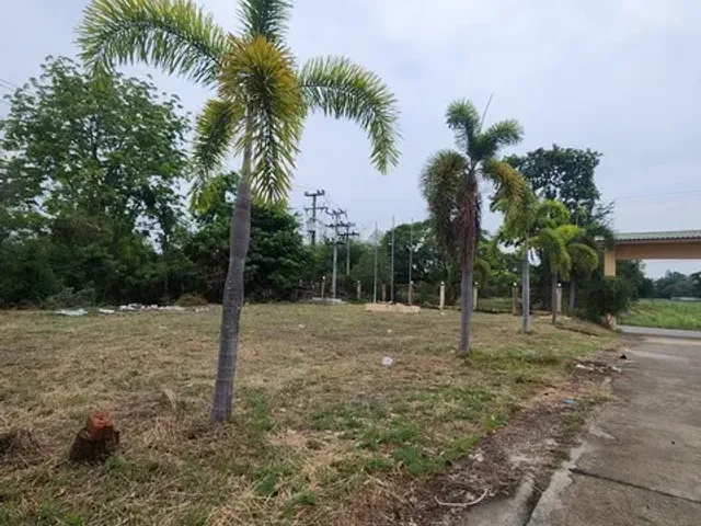 place photo 14