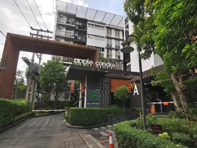 place photo 9