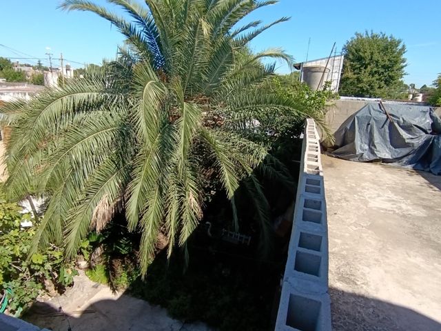 place photo 49