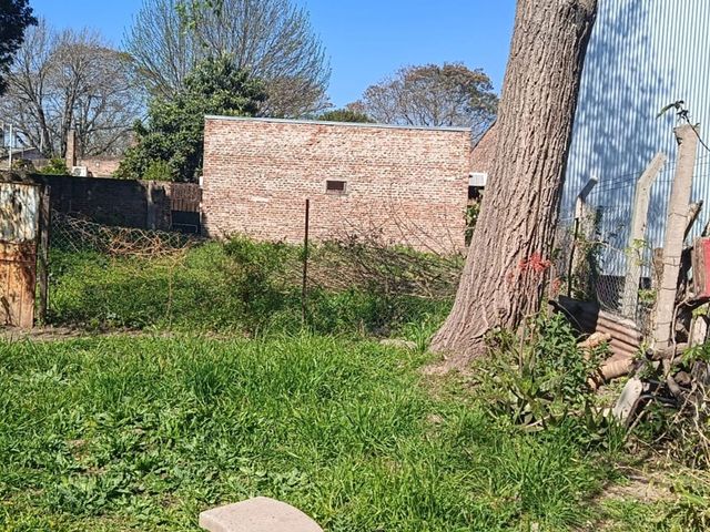 place photo 8