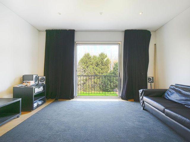 place photo 74