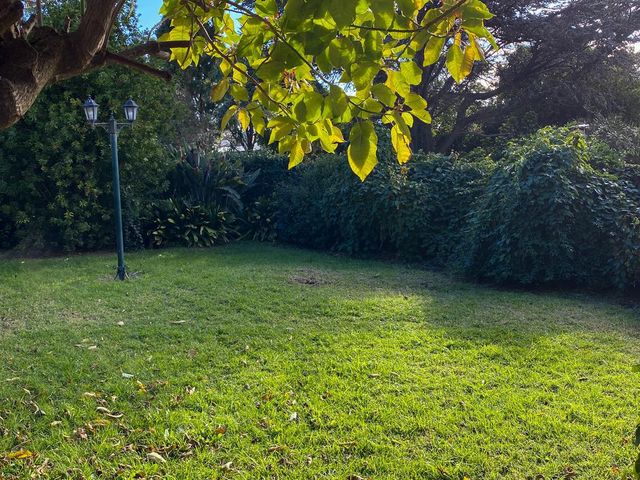 place photo 45