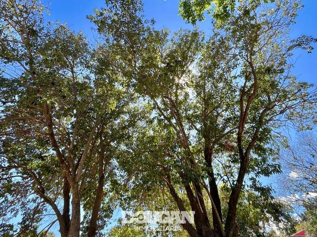 place photo 51