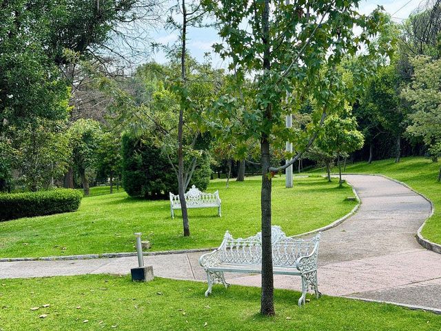 place photo 25