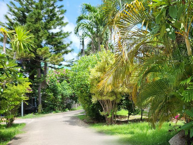 place photo 24