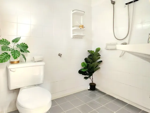 place photo 18