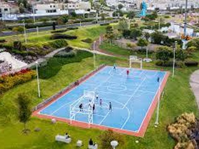 place photo 17