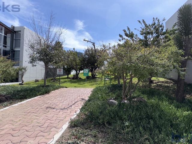 place photo 46