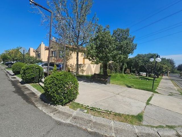 place photo 48