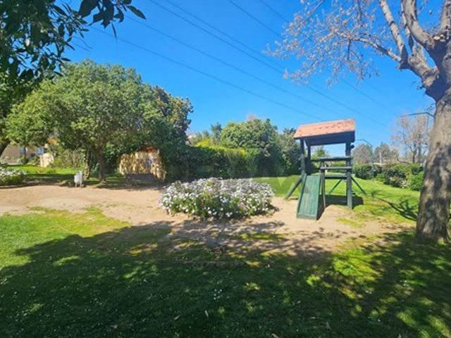 place photo 51