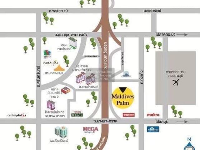 place photo 8