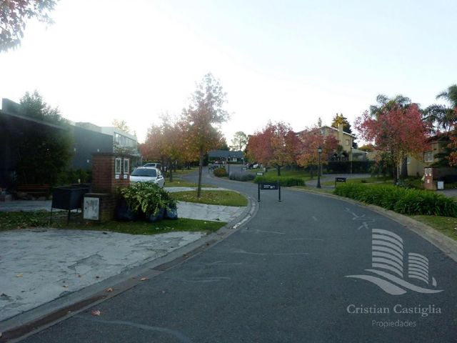 place photo 42