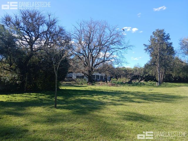 place photo 23
