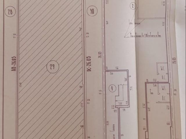 place photo 49