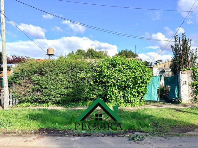 place photo 17